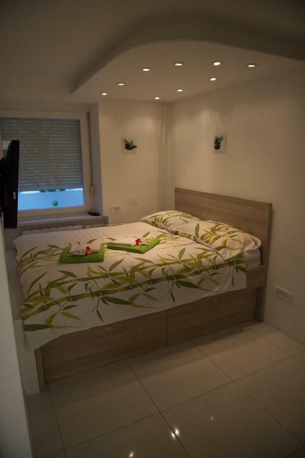 First Floor Flat Appartement Ljubljana Buitenkant foto